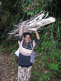 Papua Highlands (Mt. Hagen-Ambua-Tari-Mendi) - 18